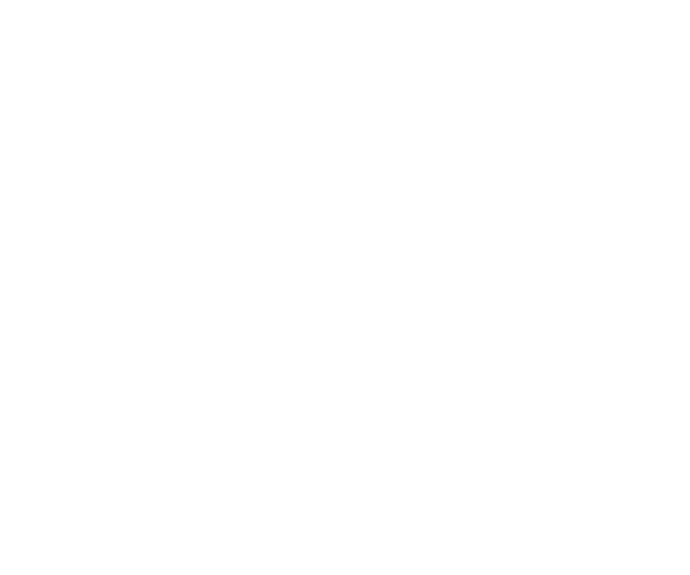 MVFC Logo